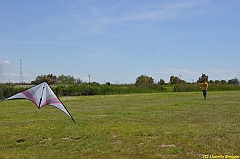 Venice kite festival_0084